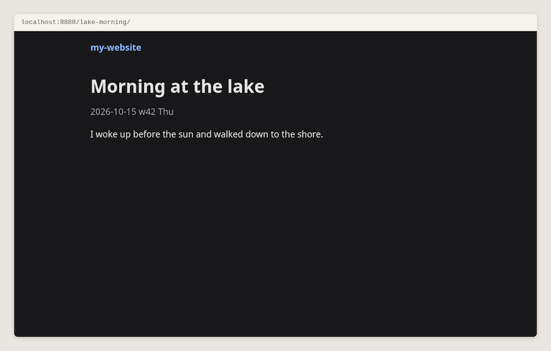 The starter in dark mode